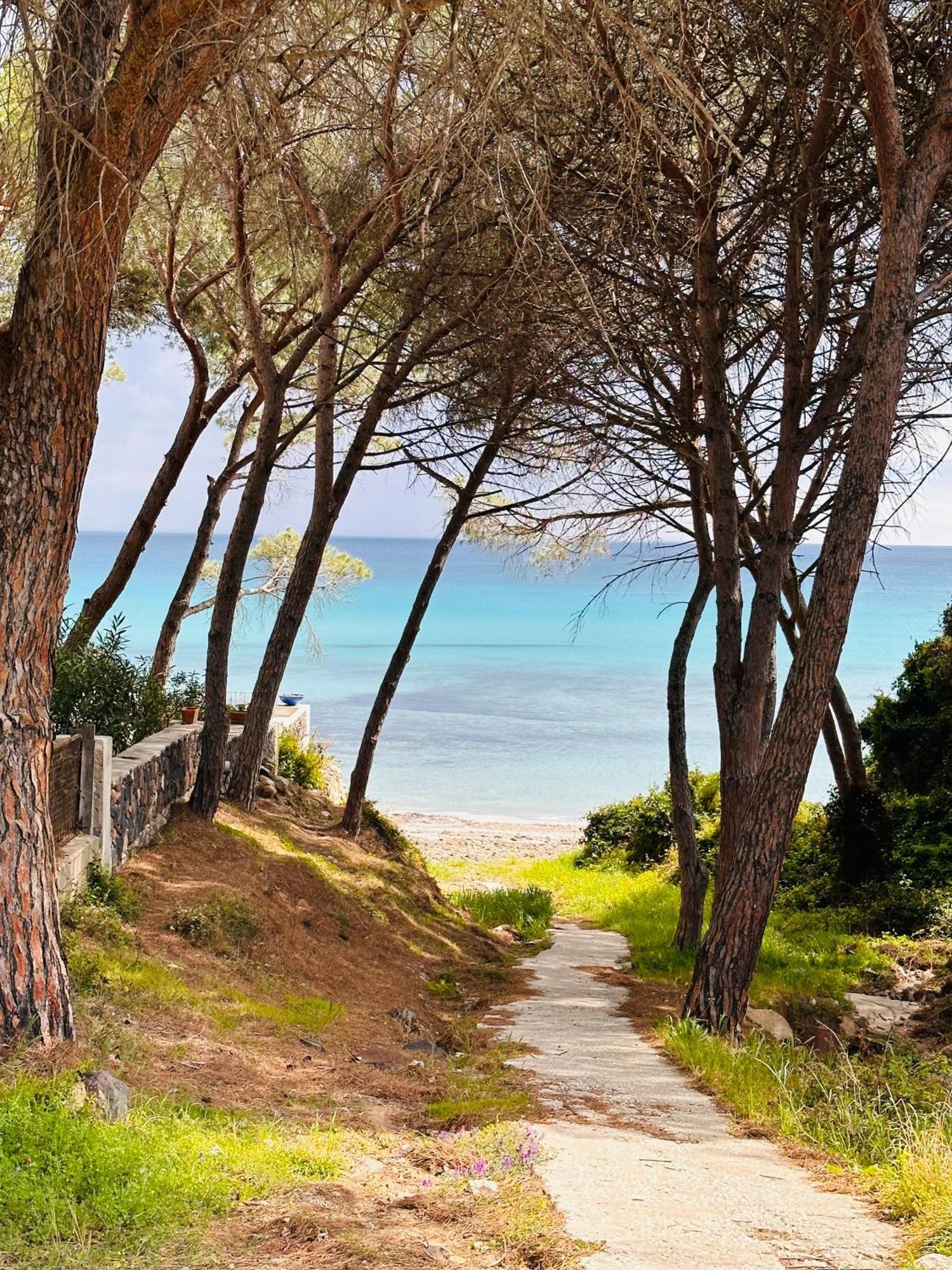 Il Giardino Davanti Al Mare Орозеи Екстериор снимка